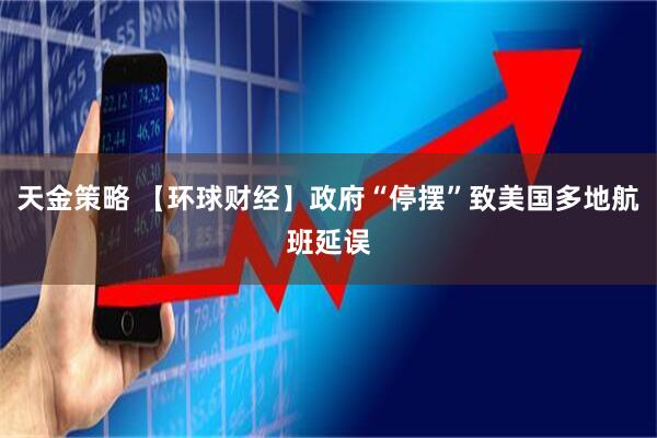 天金策略 【环球财经】政府“停摆”致美国多地航班延误