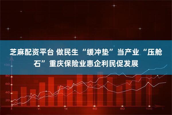 芝麻配资平台 做民生 “缓冲垫” 当产业 “压舱石” 重庆保险业惠企利民促发展