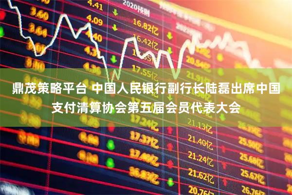 鼎茂策略平台 中国人民银行副行长陆磊出席中国支付清算协会第五届会员代表大会